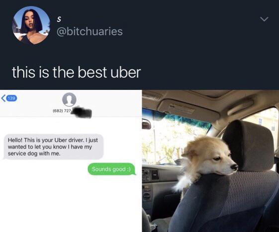 That would be the only Uber driver I’d use - 9GAG