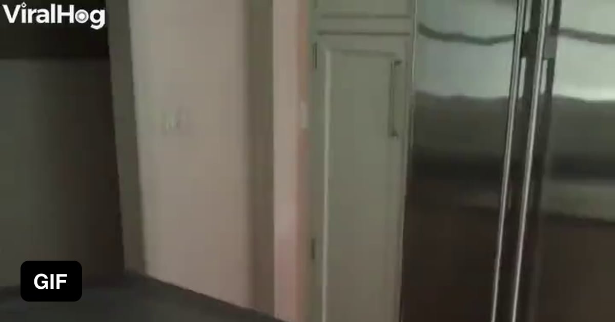 Secret wine cellar under kitchen island 9GAG