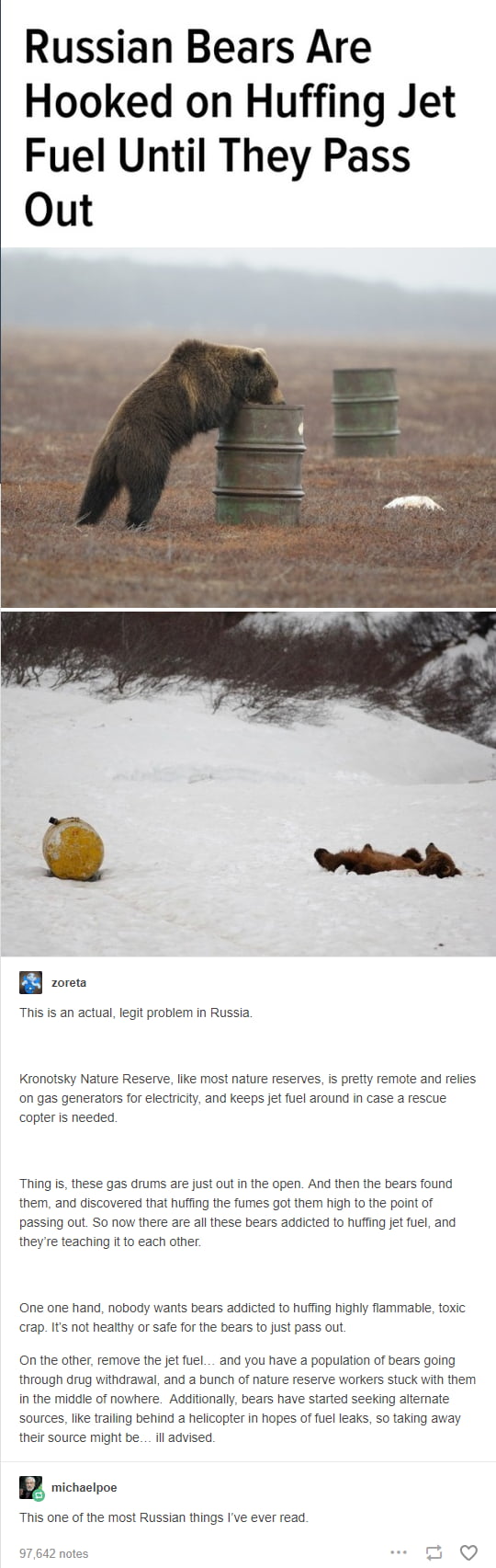 Bears addicted to huffing jet fuel 9GAG