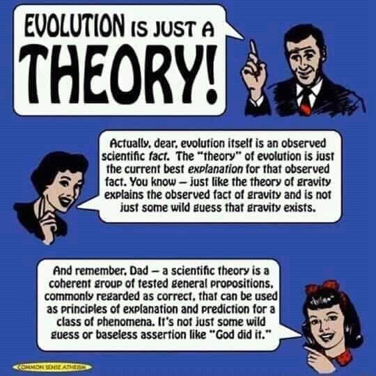 what-is-a-scientific-theory-9gag