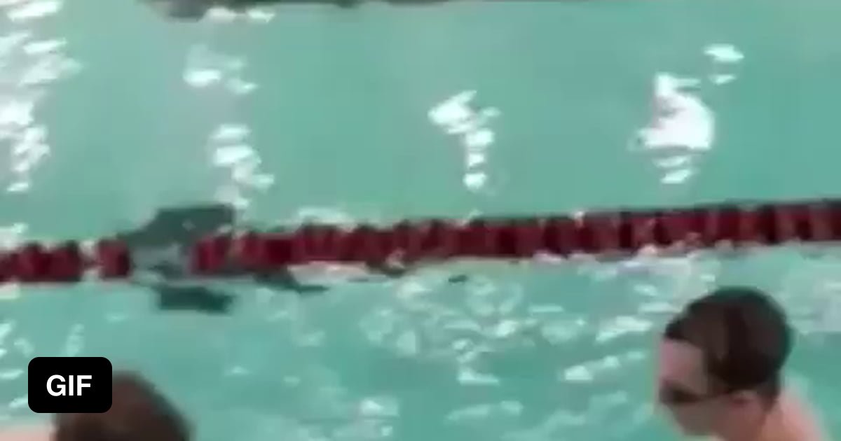 Slap of the day - 9GAG