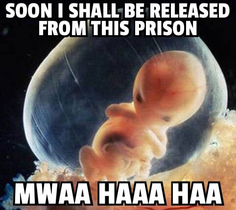 Nobody Asian *Use durian for pizza* Italian MAMMA MIA!!! 9GAG