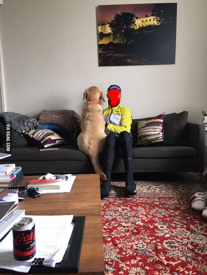 When your blind dog likes to sit with you and looks out the window. 9GAG