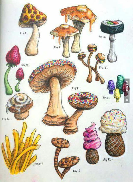 Remember What The Dormouse Said Feed Your Head 9gag