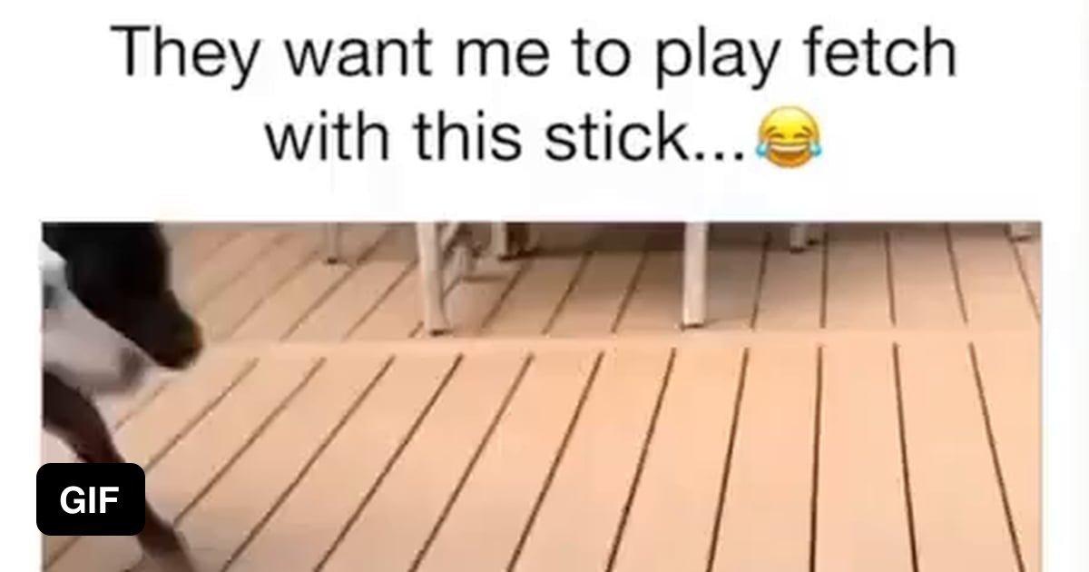 That's a big stick - 9GAG