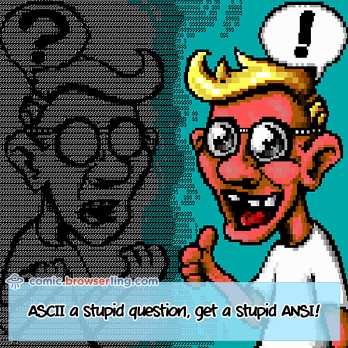 ASCII a Question - Web Developer Joke - 9GAG