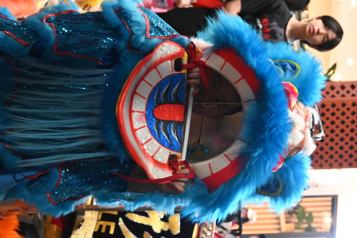 my-nephew-has-started-lion-dancing-may-i-ask-for-a-9gagger-to-help