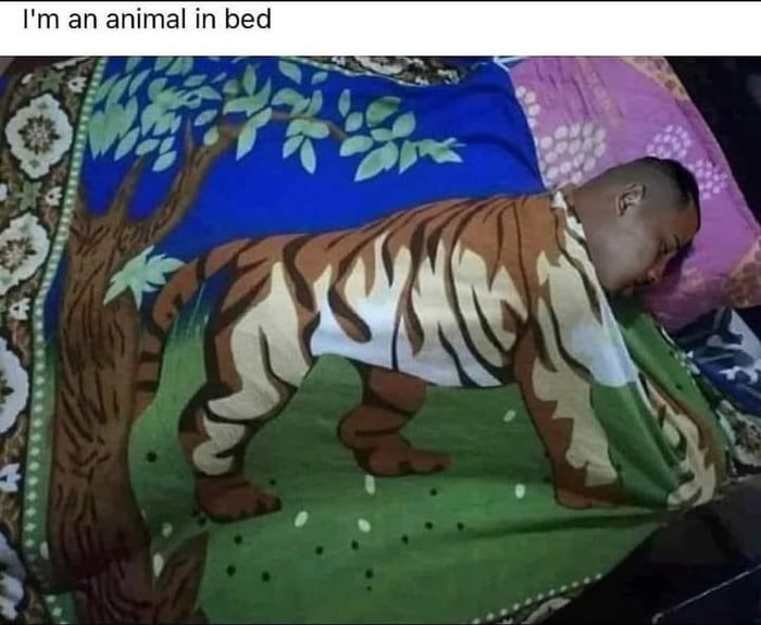 King of the jungle - 9GAG