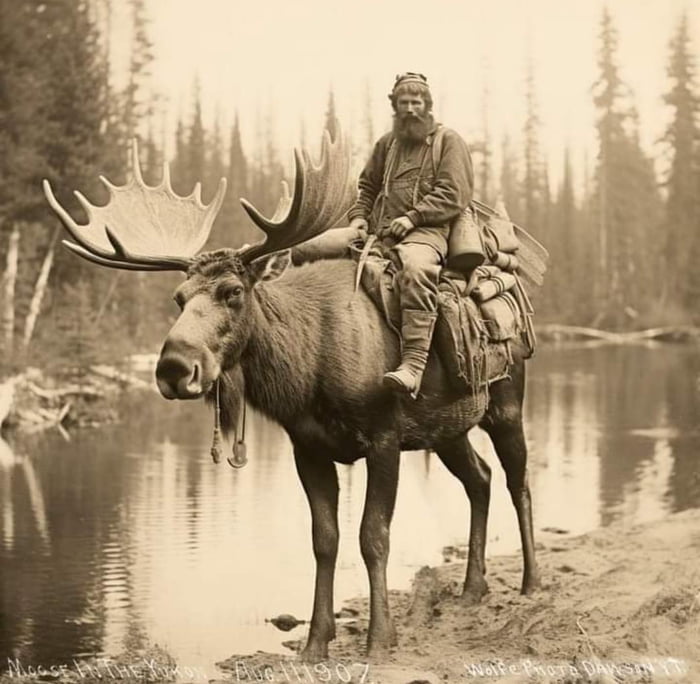 Mountain Man with his Moose in the Yukon, 1907 9GAG