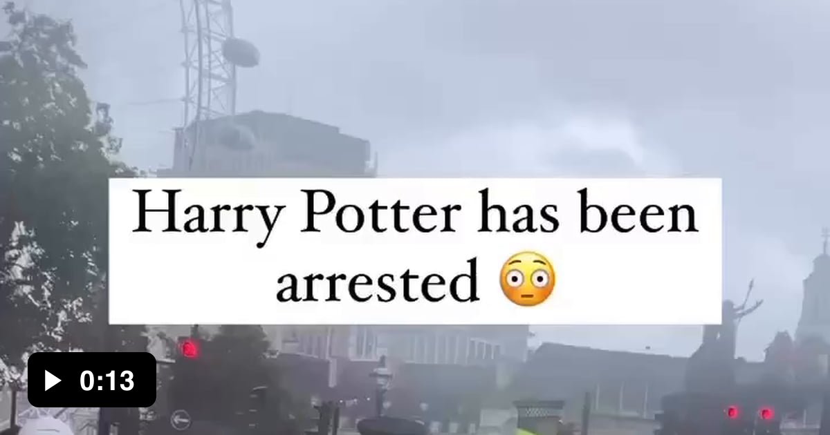 Harry Potter Has Been Arrested 9gag