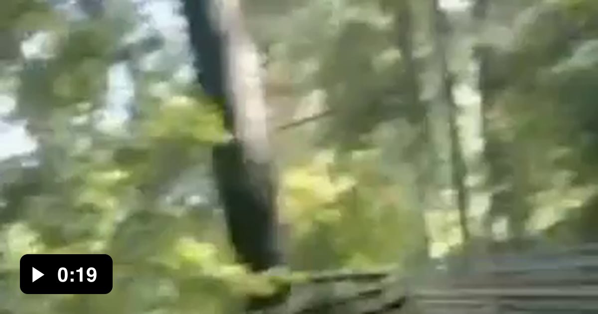 Laughed too hard at this. 9GAG