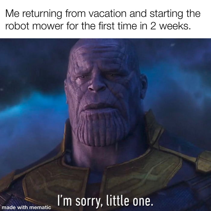 Welcome to the jungle starts playing - 9GAG
