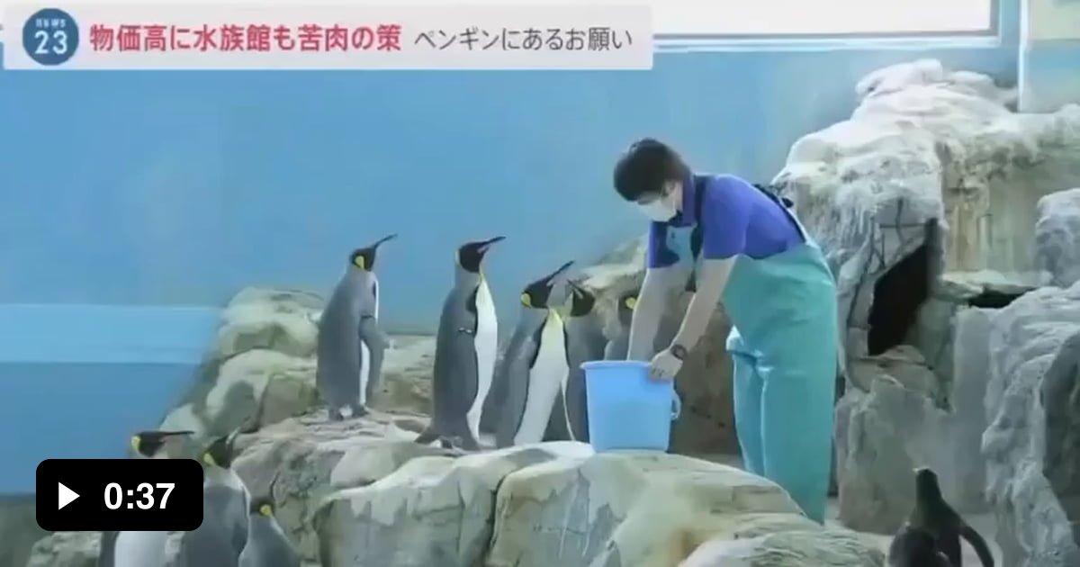 A japanese aquarium was forced to buy cheaper fish in a bid to save