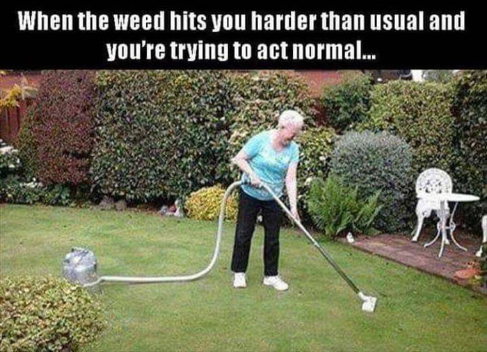 SOME OLD LADY ......GRANDMA ONLY VACCUMMING HER OWN GRASS ....TOO FUNNY ...