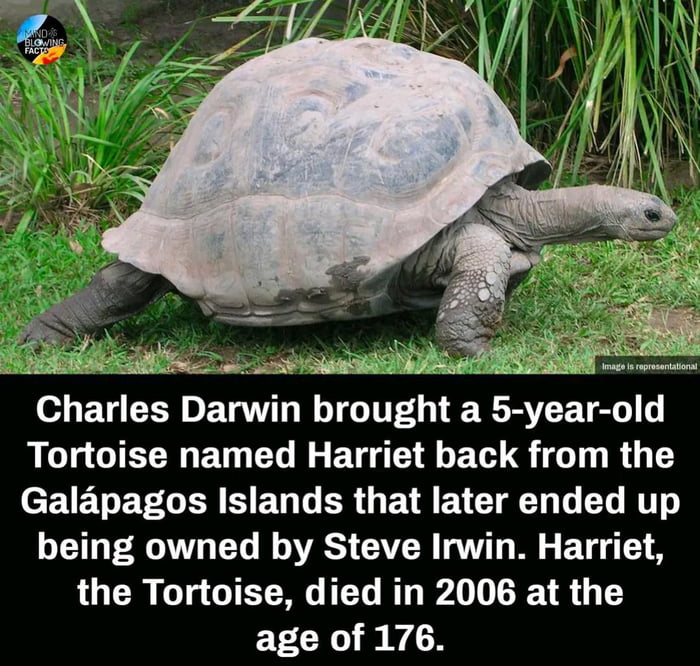 This tortoise lived with Charles Darwin and Steve Irwin. - 9GAG