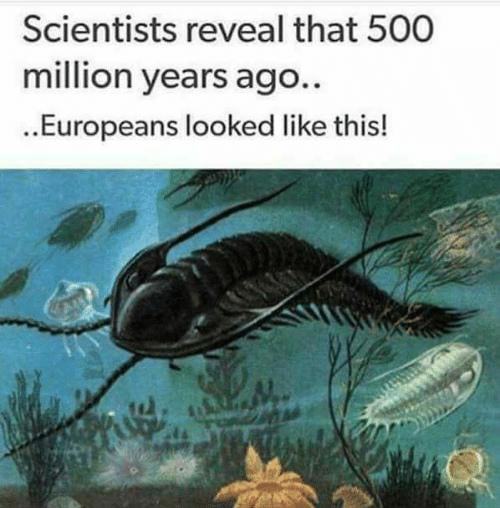What Did People Look Like 3 Million Years Ago