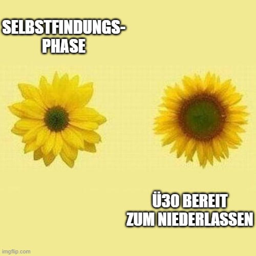 Ich bin sonst viel zu schüchtern... 9GAG