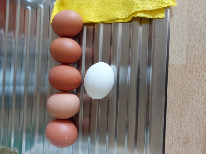Just some eggs - 9GAG