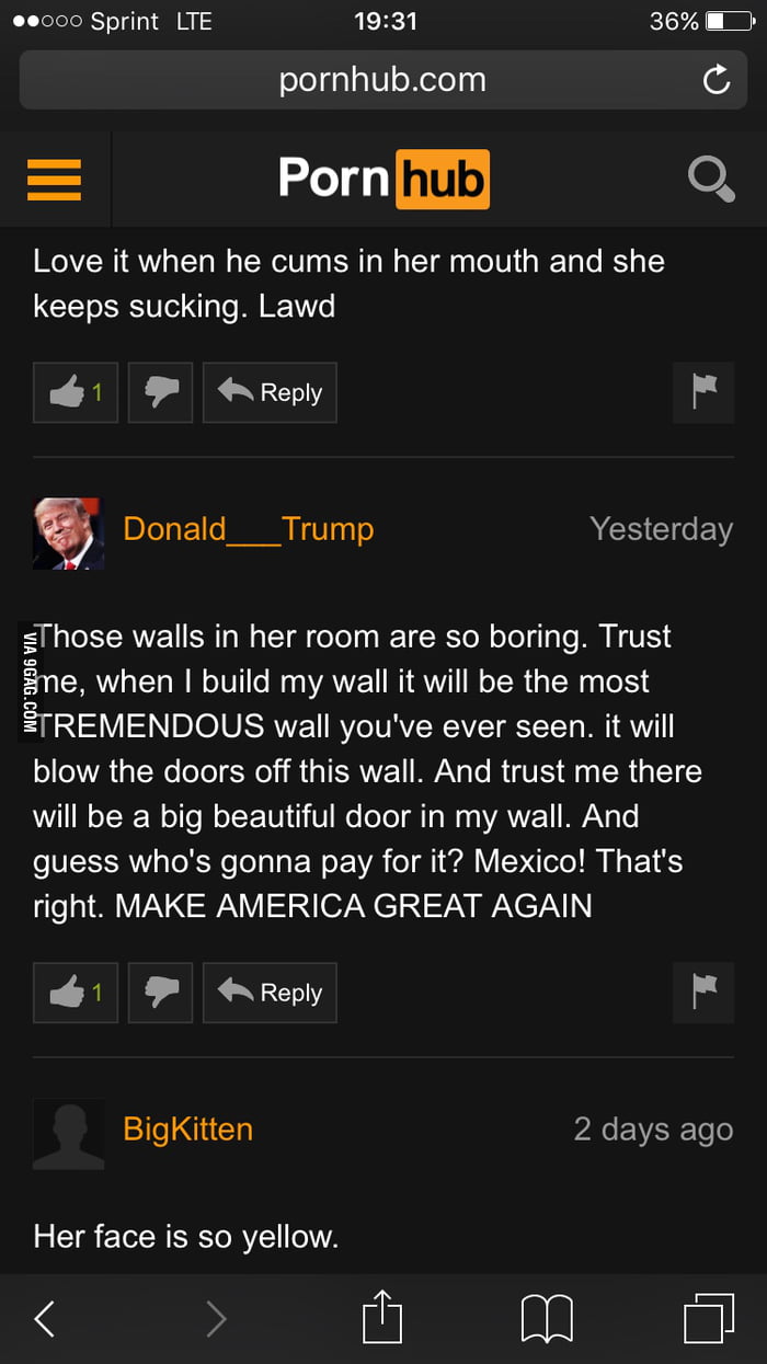 700px x 1245px - Even Donald trump watches porn - 9GAG