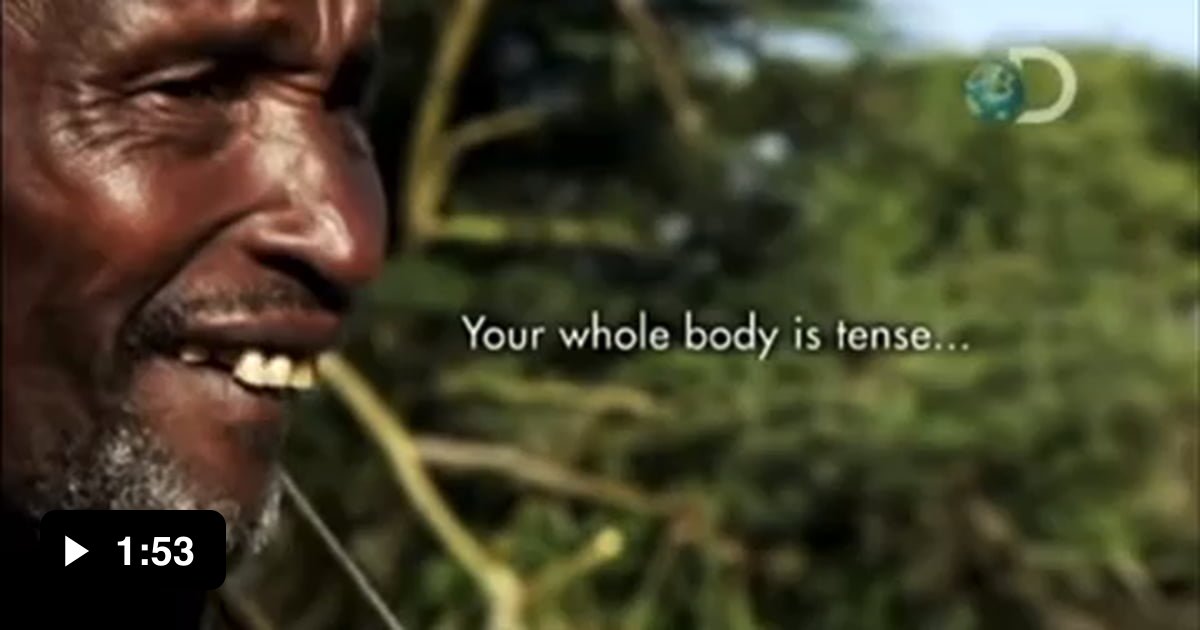 Maasai Warrior steals meat from lions 9GAG