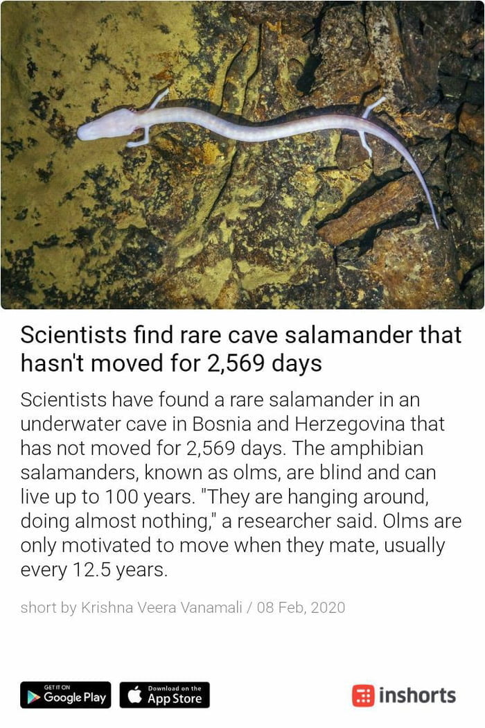 Scientist have found that there is. Scientist have found that there is