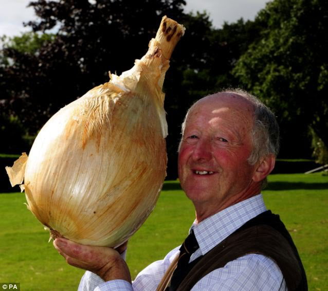 forget-the-guy-below-this-is-the-largest-onion-ever-grown-18lbs-1oz