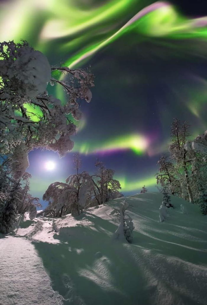 northern lights norway