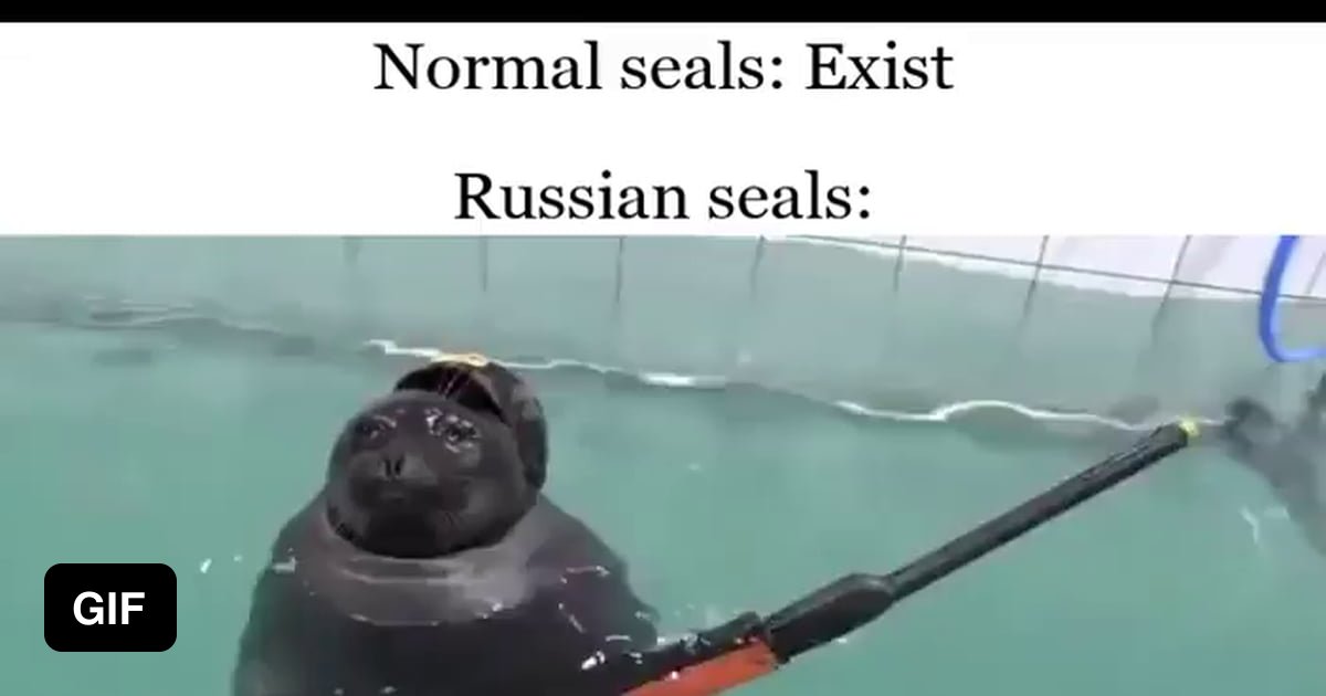 Seal - 9GAG