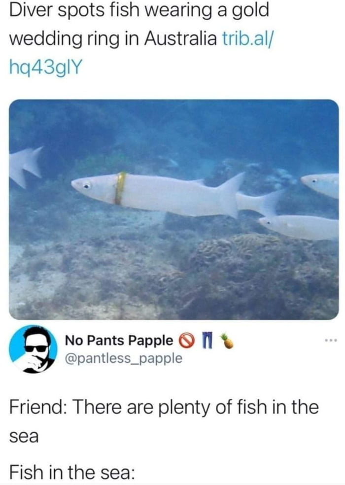 Is there really plenty of fish in the sea?