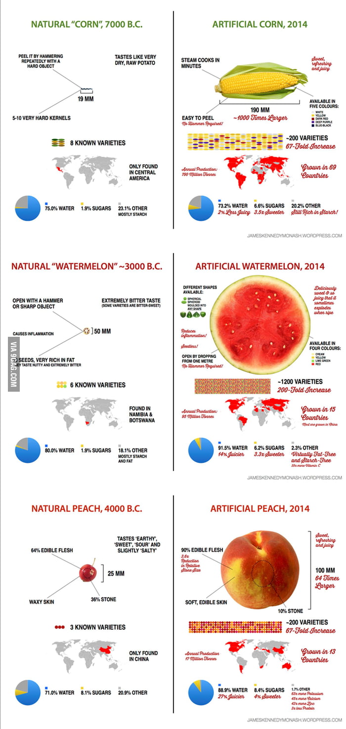 The Evolution of Our Fruits and Vegetables 9GAG