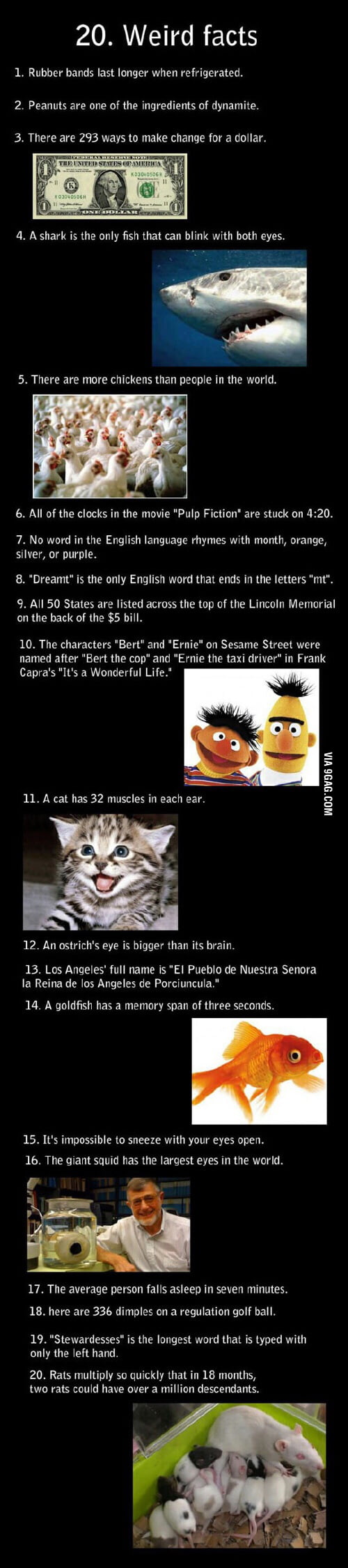 20 Weird Facts You Might Never Heard About - 9GAG