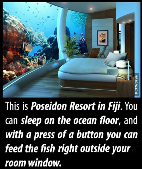 Sleeping with the fish 9GAG