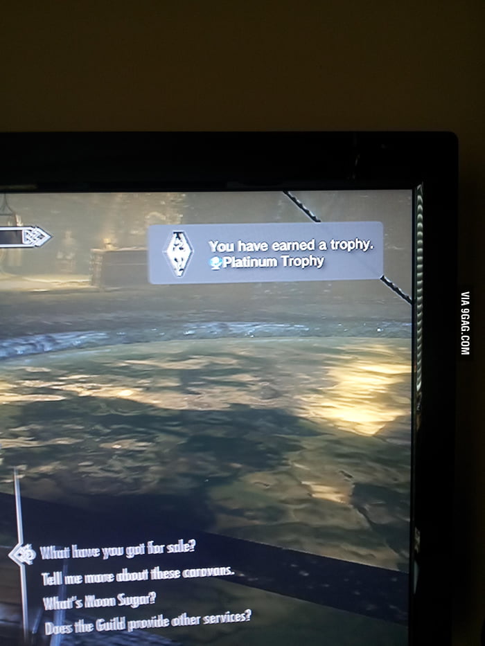 150+ hours and 68 randomly generated Thieve's Guild quests later - 9GAG