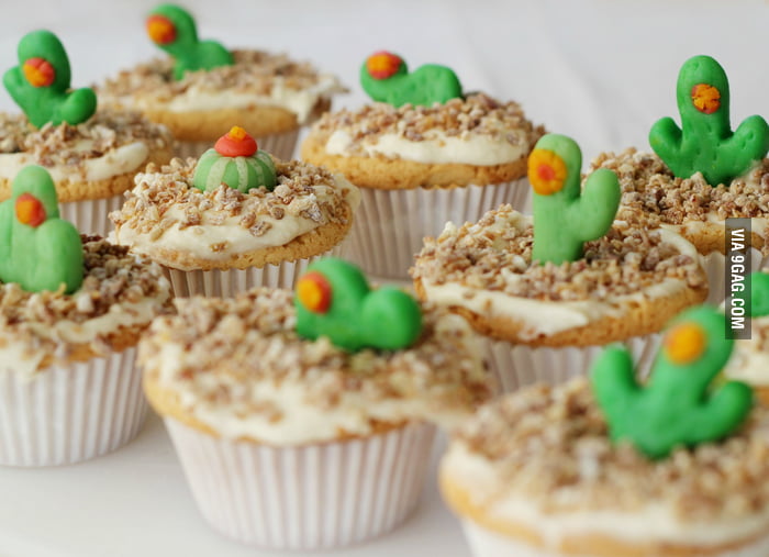 Desert Dessert Cupcakes 9GAG