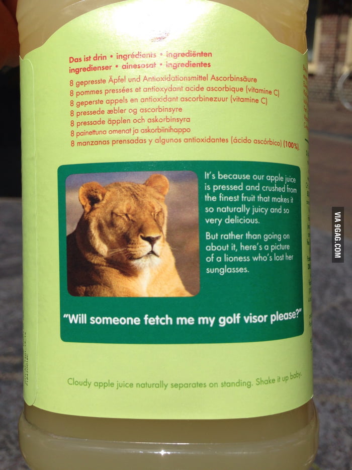 Never Mind The Apples That Lioness Though 9gag