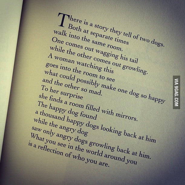 There is a story they tell of two dogs.