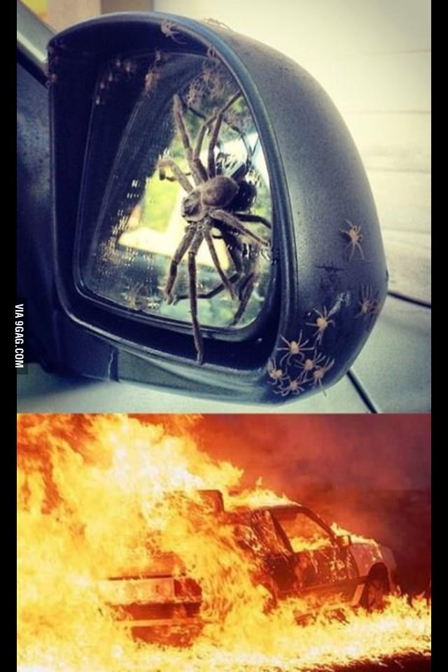 Spider car. Spider car, does whatever a spider car does.. Can it swing?,  sadly no, no it can't. - 9GAG