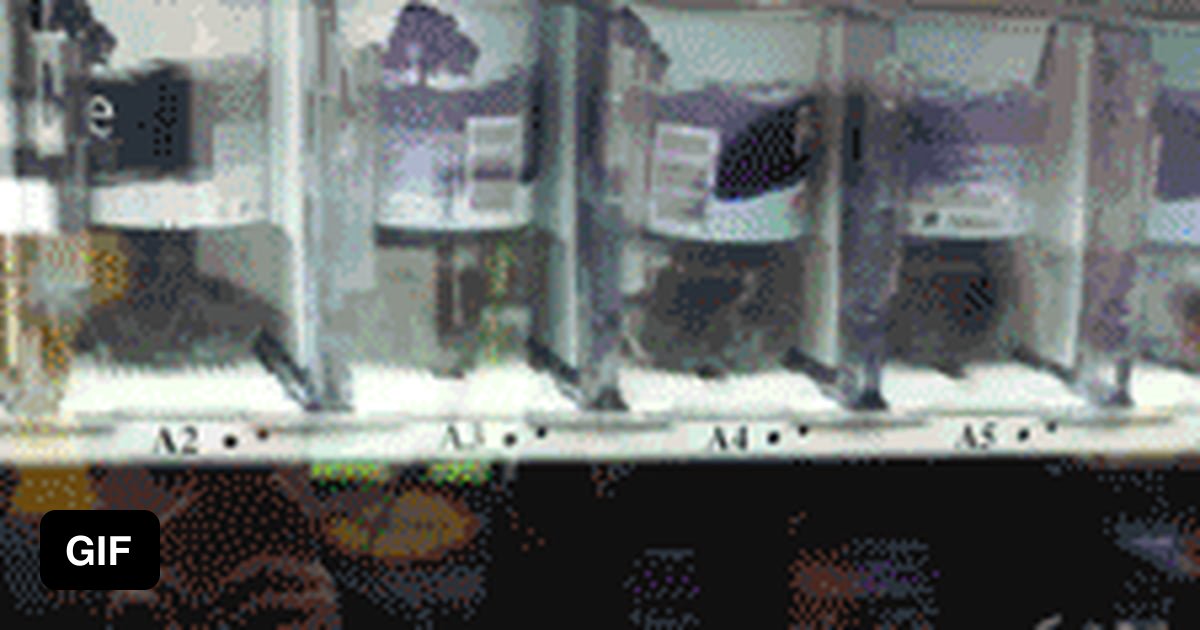 Oddly satisfying gif - 9GAG
