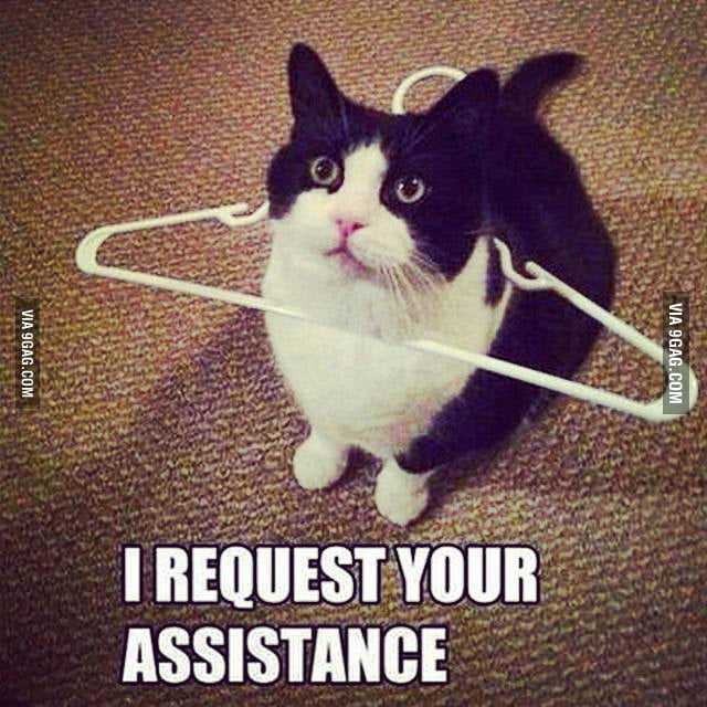 Cat stuck in a coat hanger. 9GAG