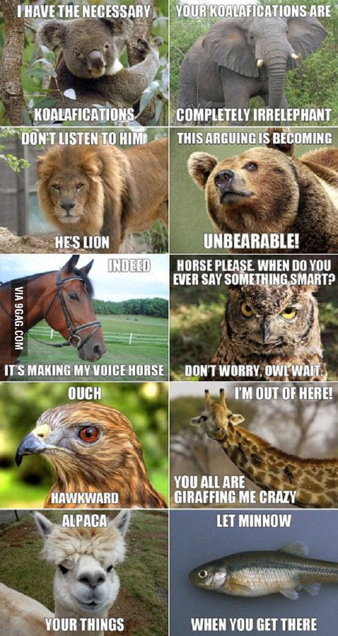 I Find These Amoosing - 9GAG