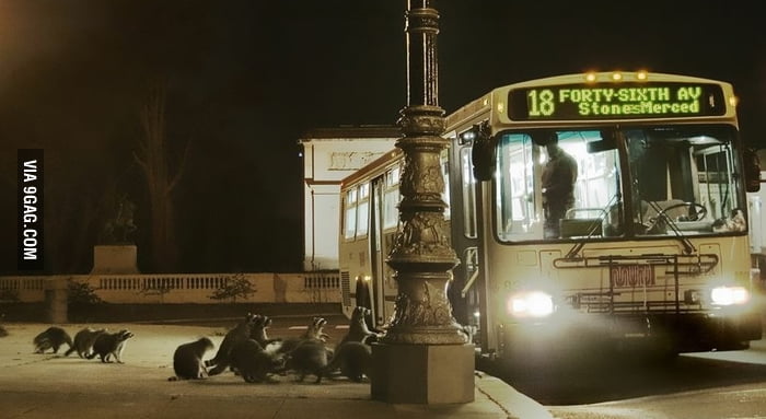 Next stop, Raccoon City - 9GAG