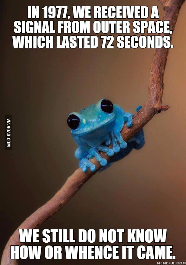 Very Terrifying - 9GAG