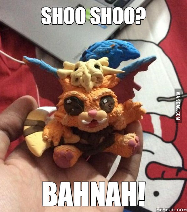 SHOO SHOO?. BAHNAH! GNAR. - 9GAG