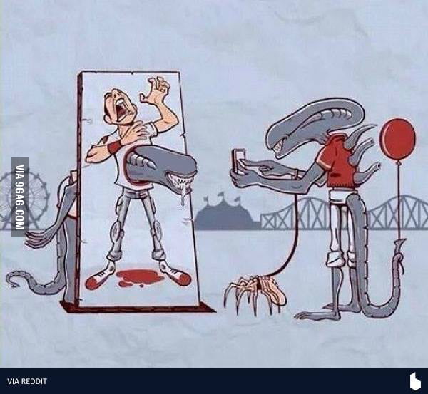 in-the-land-of-the-xenomorph-9gag