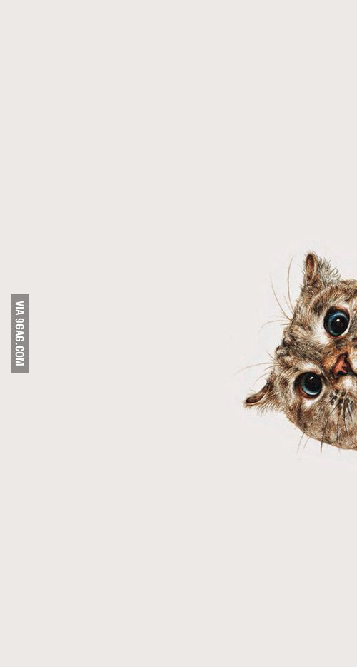 Hooman, what u doin there? - 9GAG