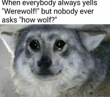 Sadwolf - 9GAG