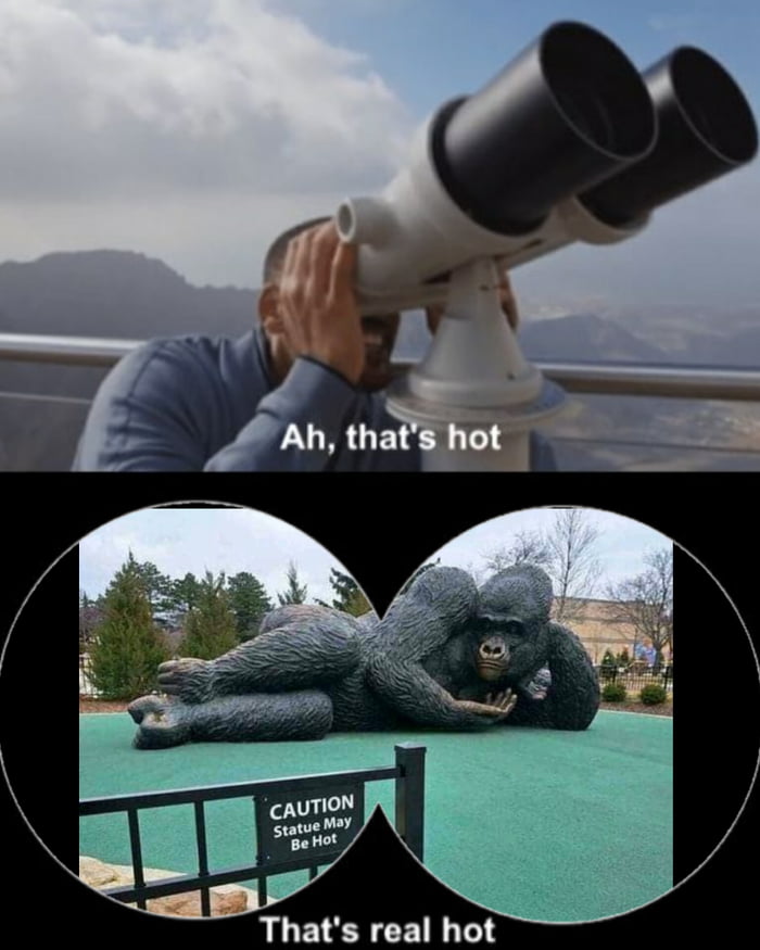 Hot Damnnnn 9GAG