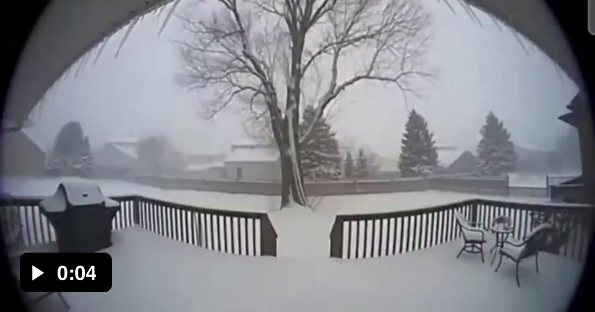 Mn Exploding Tree Risk In Minnesota and quite a bit of the Midwest this past couple days we ...