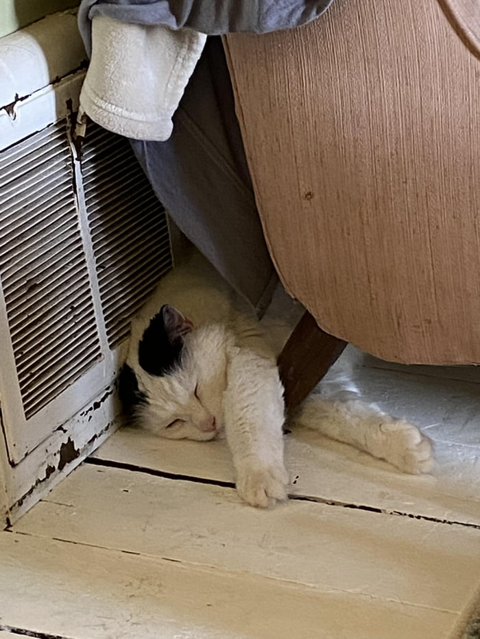 We were assholes for putting a couch in front of the heat vent, but