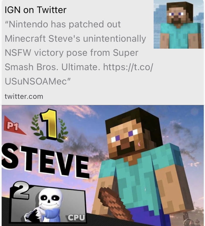 steve joined the wrong smash party 9gag